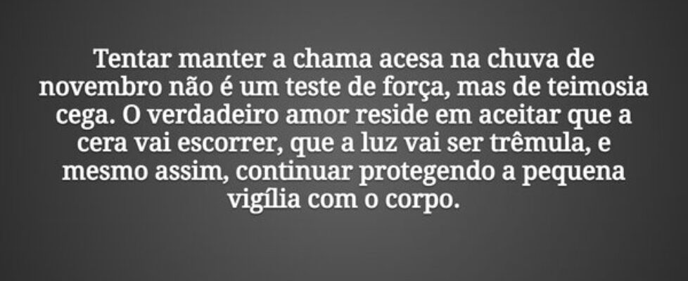 Tentar manter a chama acesa na chuva de novembro n... Tiago Scheimann