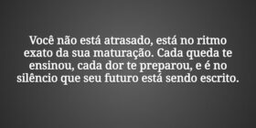 Você não está atrasado, está no ritmo exato da sua... Tiago Scheimann