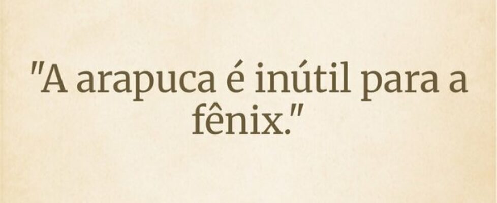"A arapuca é inútil para a fênix."... Wesley D Amico
