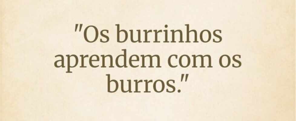 "Os burrinhos aprendem com os burros."... Wesley D Amico