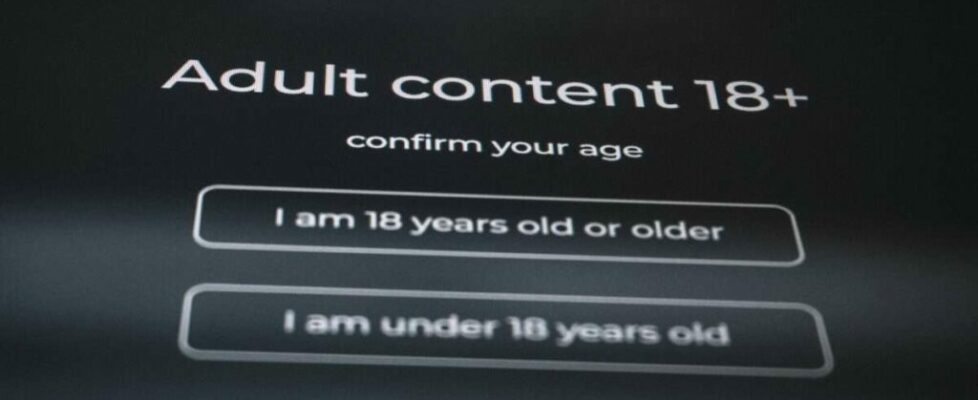 Lawmakers To Consider 19 Bills for Childproofing the Internet